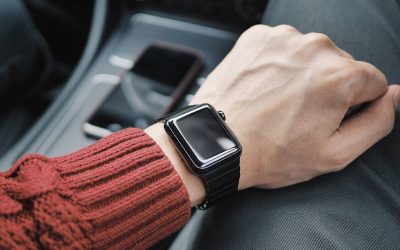 Dolor nulla amet glavrida