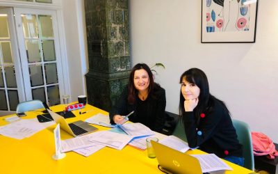 Društveno-poduzetnička koshnica