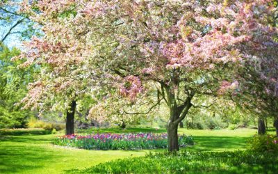 Prvi dan proljeća u uredu