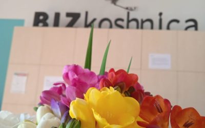 Zašto odabrati korporativni coworking u BIZkoshnici?