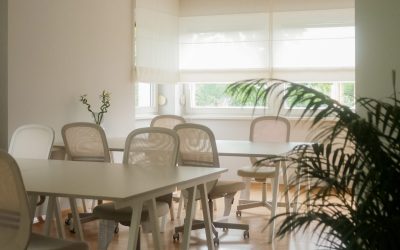 Što je cjeloživotno učenje?